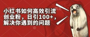 小红书如何高效引流创业粉，日引100+，解决你遇到的问题【揭秘】-易得个人分享