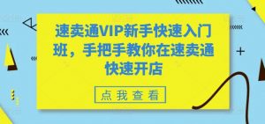 速卖通VIP新手快速入门班，手把手教你在速卖通快速开店-易得个人分享