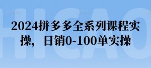 2024拼多多全系列课程实操，日销0-100单实操【必看】-易得个人分享