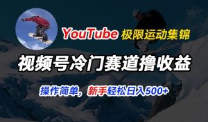 视频号冷门赛道撸收益，YouTube搬运极限运动集锦，暴力起号，操作简单流量高，轻松日入5张【揭秘】-易得个人分享