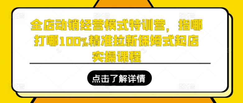 全店动销经营模式特训营，指哪打哪100%精准拉新保姆式起店实操课程-易得个人分享