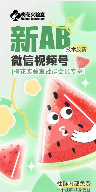 梅花实验室2024年AB技术视频号AB合成破解版-易得个人分享