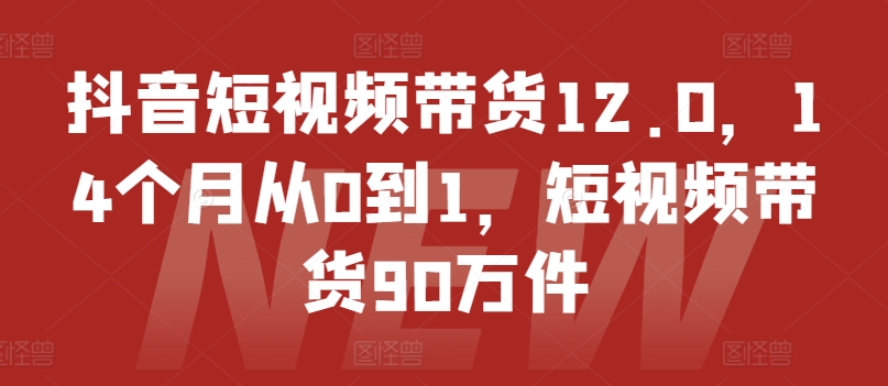 抖音短视频带货12.0，14个月从0到1，短视频带货90万件-易得个人分享