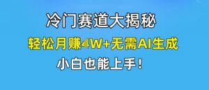 冷门赛道大揭秘，轻松月赚1W+无需AI生成，小白也能上手【揭秘】-易得个人分享