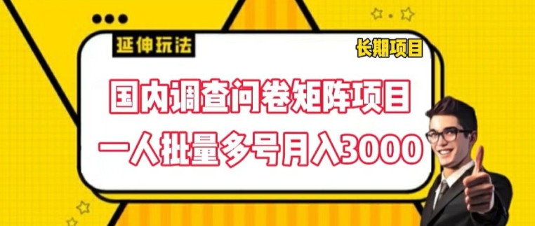国内调查问卷矩阵项目，一人批量多号月入3000【揭秘】-易得个人分享