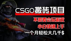 CSGO 装备搬砖项目，操作简单，不需要会玩游戏，小白也能快速上手，一个月轻松大几千【揭秘】-易得个人分享