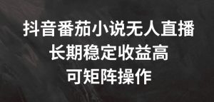 抖音番茄小说无人直播，长期稳定收益高，可矩阵操作【揭秘】-易得个人分享