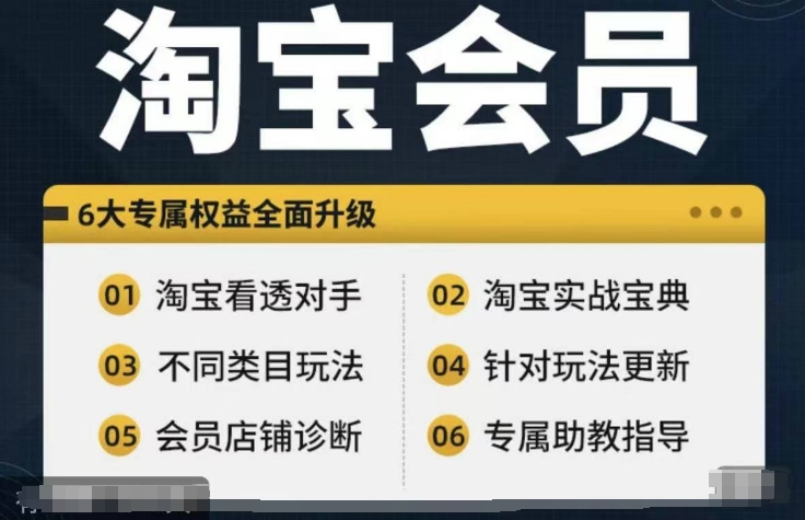 淘宝会员【淘宝所有课程，全面分析对手】，初级到高手全系实战宝典-易得个人分享