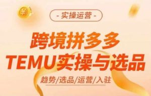 跨境拼多多TEMU实操与选品，多多temu跨境选品运营实操-易得个人分享
