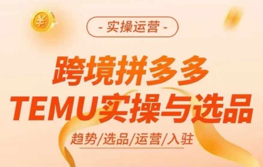 跨境拼多多TEMU实操与选品，多多temu跨境选品运营实操-易得个人分享