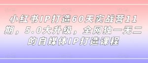 小红书IP打造60天实战营11期，5.0大升级，全网独一无二的自媒体IP打造课程-易得个人分享
