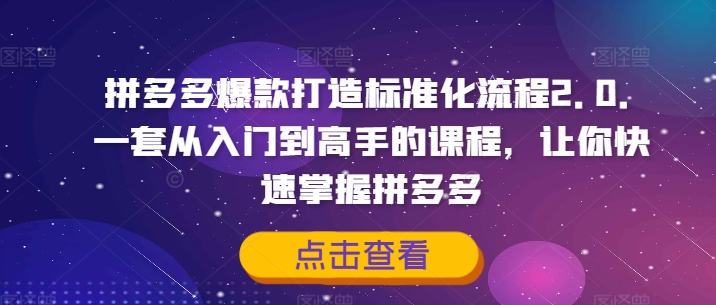 拼多多爆款打造标准化流程2.0，一套从入门到高手的课程，让你快速掌握拼多多-易得个人分享
