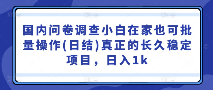 国内问卷调查小白在家也可批量操作(日结)真正的长久稳定项目，日入1k【揭秘】-易得个人分享
