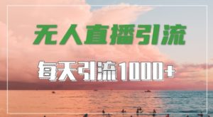 抖音快手视频号全平台通用，无人直播引流法，超暴力引流1000+高质量精准创业粉【揭秘】-易得个人分享
