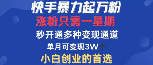 快手暴力起万粉，涨粉只需一星期，多种变现模式，直接秒开万合，单月变现过W【揭秘】-易得个人分享
