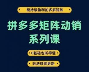 拼多多矩阵动销系列课，能持续盈利的多多矩阵，0基础也听得懂，玩法持续更新-易得个人分享