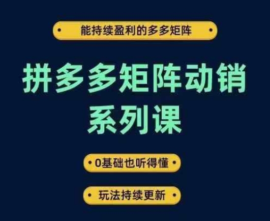 拼多多矩阵动销系列课，能持续盈利的多多矩阵，0基础也听得懂，玩法持续更新-易得个人分享