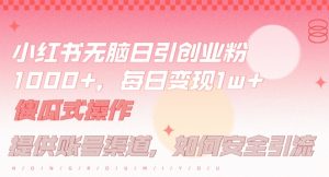 小红书无脑每日引流创业粉500+，小白每天只花半小时，躺赚长尾收益【揭秘】-易得个人分享