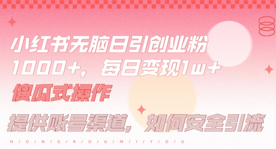 小红书无脑每日引流创业粉500+，小白每天只花半小时，躺赚长尾收益【揭秘】-易得个人分享