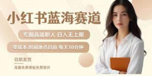 小红书蓝海赛道，圈中高端职场人，月入无上限，可矩阵，内含私域实操教程!-易得个人分享