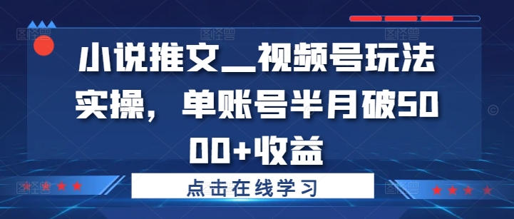 小说推文—视频号玩法实操，单账号半月破5000+收益-易得个人分享