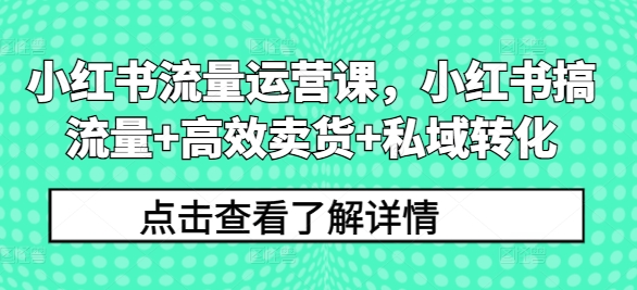 小红书流量运营课，小红书搞流量+高效卖货+私域转化-易得个人分享
