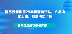 拼多多特训营24年爆破流玩法，产品决定上限，方法决定下限，各种玩法技巧落地实操-易得个人分享