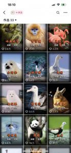 动物科普解说项目，撸创作者伙伴计划收益，保姆级实战教程-易得个人分享