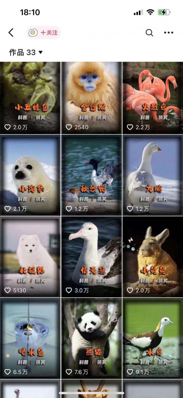 动物科普解说项目，撸创作者伙伴计划收益，保姆级实战教程-易得个人分享