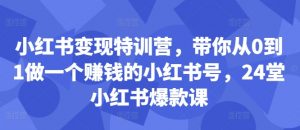 小红书变现特训营，带你从0到1做一个赚钱的小红书号，24堂小红书爆款课-易得个人分享