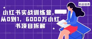 小红书实战训练营，从0到1，6000万小红书项目拆解-易得个人分享