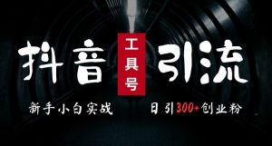 2024最新抖音工具号引流玩法，高效日引300+创业粉，当天变现5k，小白也可成为实战高手-易得个人分享