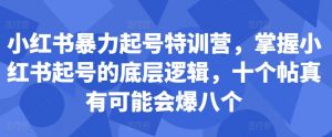 小红书暴力起号特训营，掌握小红书起号的底层逻辑，十个帖真有可能会爆八个-易得个人分享