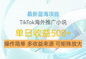 最新蓝海项目，利用tiktok海外推广小说赚钱佣金，简单易学，日入500+，可矩阵放大【揭秘】-易得个人分享
