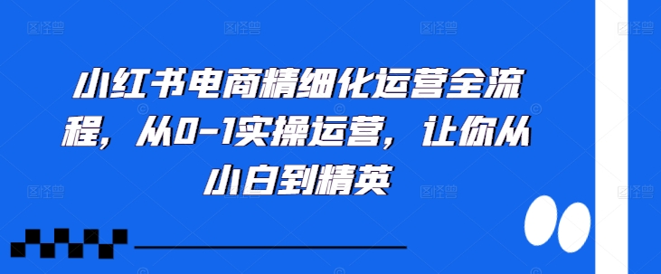 小红书电商精细化运营全流程，从0-1实操运营，让你从小白到精英-易得个人分享