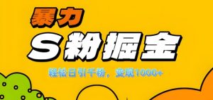 单人单机日引千粉，变现1k+，S粉流量掘金计划攻略【揭秘】-易得个人分享