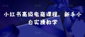 小红书高级电商课程，新手小白实操教学-易得个人分享