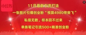 小红书11月最新图片打粉，一张图片引爆创业粉，“预算4980带我飞”，单条引流500+精准创业粉-易得个人分享