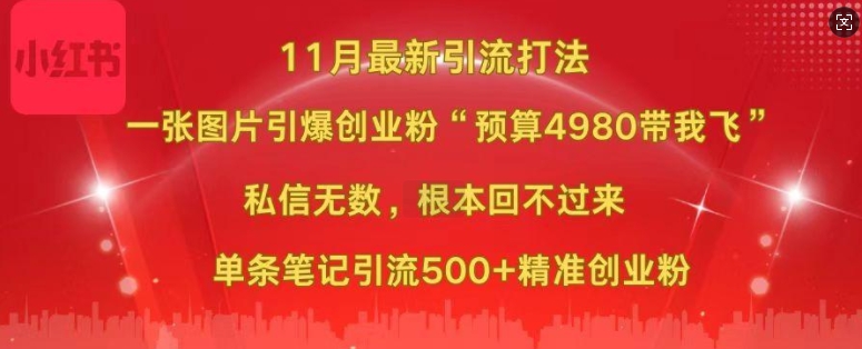 小红书11月最新图片打粉，一张图片引爆创业粉，“预算4980带我飞”，单条引流500+精准创业粉-易得个人分享