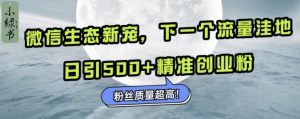 微信生态新宠小绿书：下一个流量洼地，日引500+精准创业粉，粉丝质量超高-易得个人分享