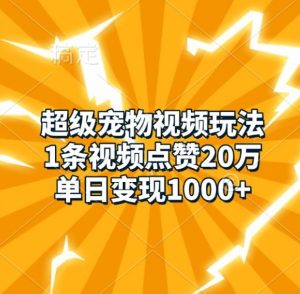 超级宠物视频玩法，1条视频点赞20万，单日变现1k-易得个人分享