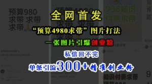 小红书“预算4980带我飞”图片打法，一张图片引爆创业粉，私信回不完，单条引流300+精准创业粉-易得个人分享