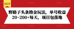 野路子头条撸金玩法，单号收益20~200+每天，项目包落地-易得个人分享