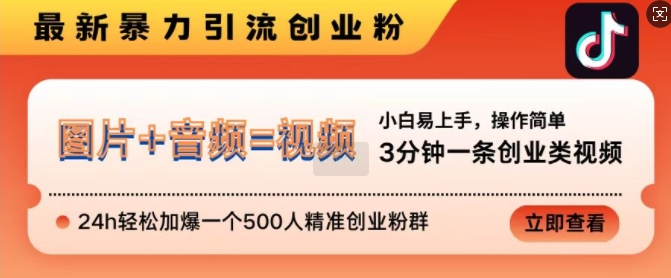 抖音最新暴力引流创业粉，3分钟一条创业类视频，24h轻松加爆一个500人精准创业粉群【揭秘】-易得个人分享