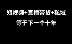 短视频+直播带货+私域等于下一个十年，大佬7年实战经验总结-易得个人分享
