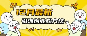 12月最新引流创业粉方法，方法非常简单，适用于多平台-易得个人分享