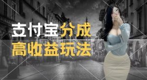 支付宝分成计划新玩法，利用交通事故视频，赚收益，轻松月入过W，操作简单【揭秘】-易得个人分享