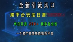 全新引流风口，跨平台玩法日入上k，单日狂揽200+精准创业粉，一个被严重忽略的视频平台-易得个人分享
