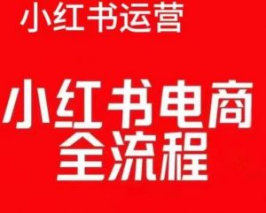 红薯电商实操课，小红书电商全流程-易得个人分享