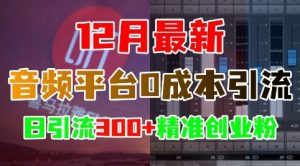 12月最新：音频平台0成本引流，日引流300+精准创业粉-易得个人分享